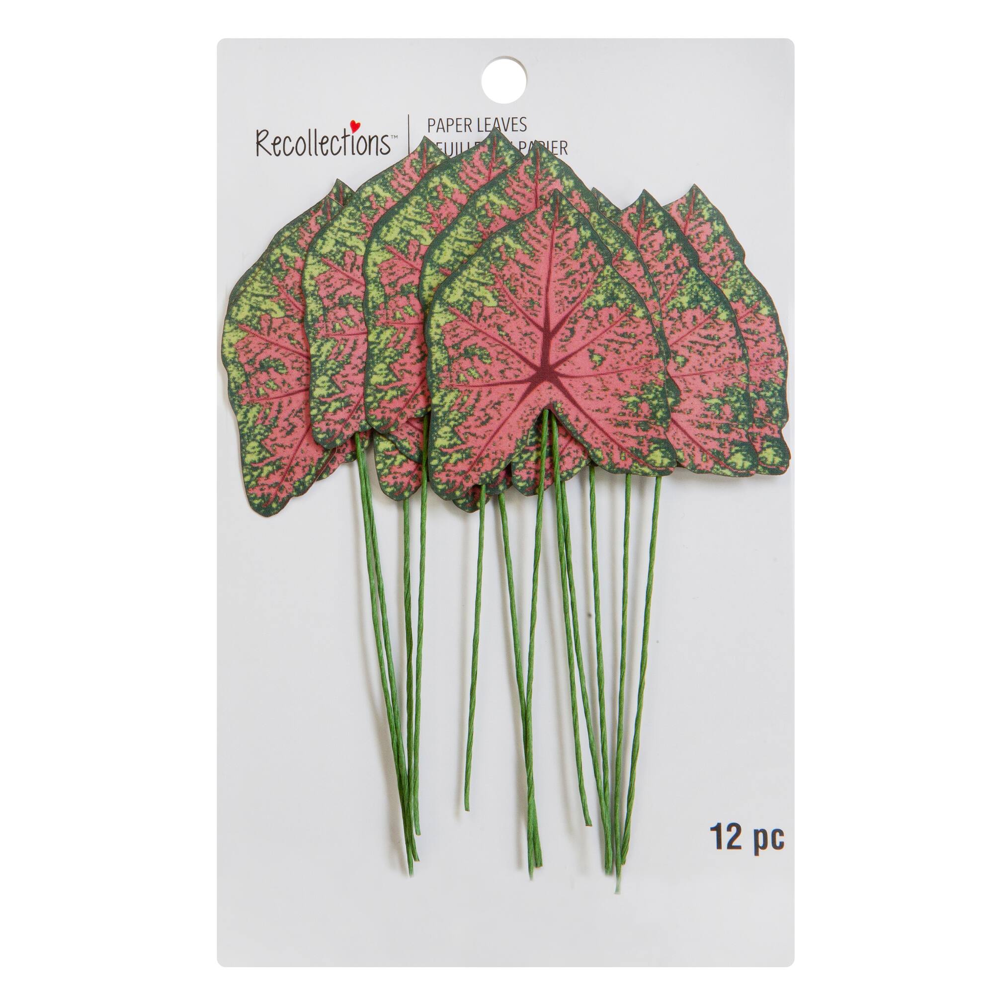 Green & Pink Paper Caladium Leaves by Recollections™